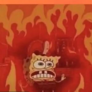 Meet your Posher, Kaci